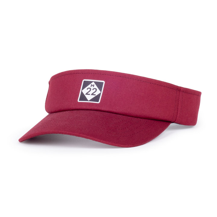 M22 VISOR